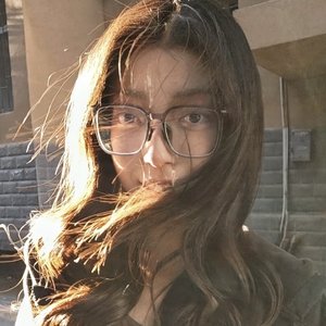 鼠族史诗