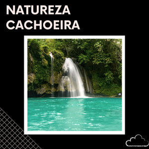 Sons da Floresta, Pt. 5