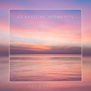 On the Beautiful Blue Danube, Op. 314 (From "2001: A Space Odyssey")