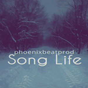 Song Life