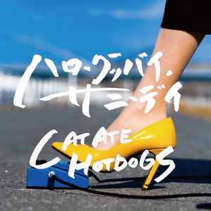 ハローグッバイ、サニーデイ