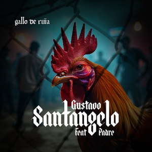 Gallo de Riña