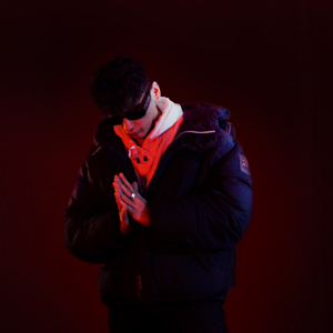 Сколько стоит