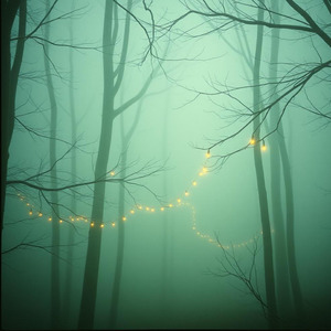 Believed the Lie to Be the Truth