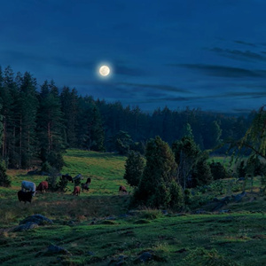 Brödraskapets Hymn (Radio Edit)