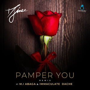 Pamper You (Remix)