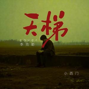 天梯 (Cover C Allstar)