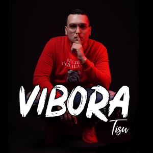 Vibora