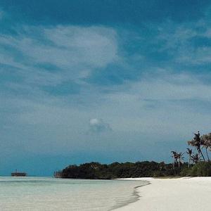 《我喜欢的姑娘她嫁人了》