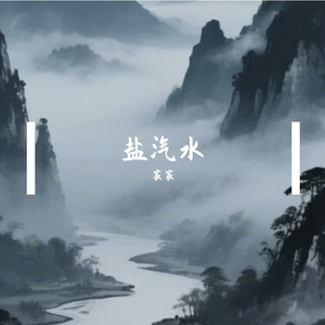 盐汽水