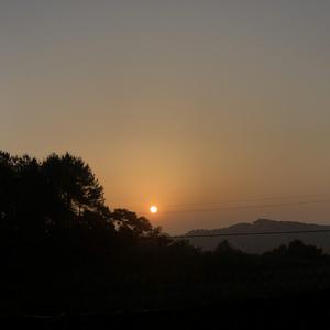 最最（翻自 姚慧）