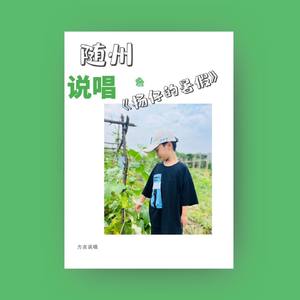 随州说唱之杨仔的暑假