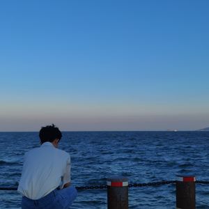 Try（cover Asher Monroe）