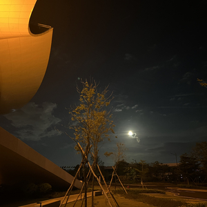 Ly-感谢你曾来过（刘无尽 remix）