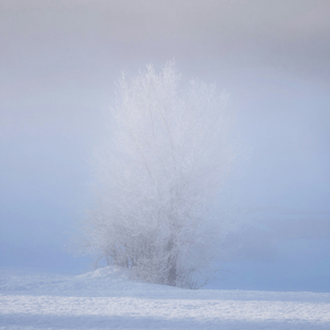 Chopin : 12 Etudes No.11 In A Minor Op.25 'Winter Wind' (쇼팽 : 12개의 연습곡 11번 가단조 작품번호 25 '겨울바람')