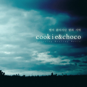 별이 쏟아지던 밤의 기억