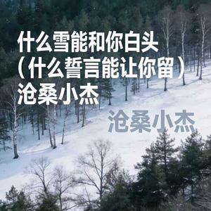 什么雪能和你白头 (什么誓言能让你留)