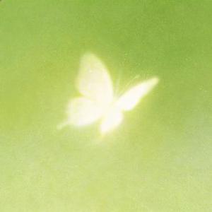 最是人间留不住