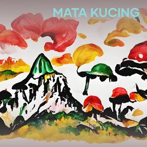 mata kucing