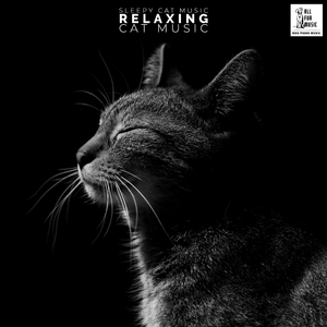 Calming Music For Cats