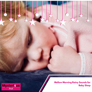 Spheroidal Boiling Bubbles