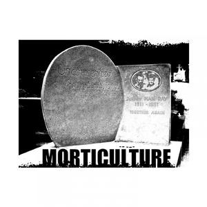 Unconcerned, But Not Indifferent