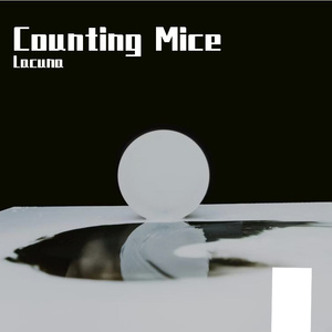Counting Mice