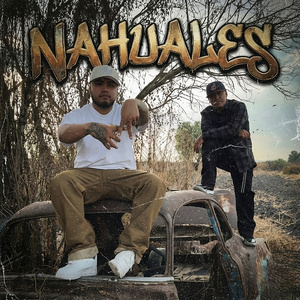 Nahuales