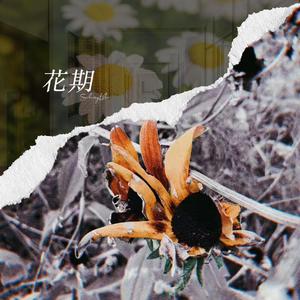 花期 （Flowery Age）