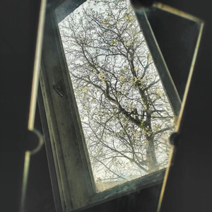 Rain Drops on the Roof Window