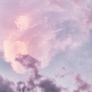 花开的时候（完整版）