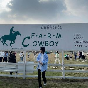 我们只能在梦中相遇