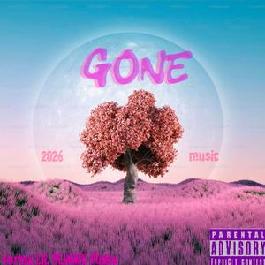 Gone (feat. Flicks & LIL PLUGGS)