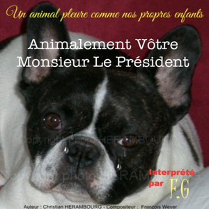 Animalement Vôtre Monsieur Le Président