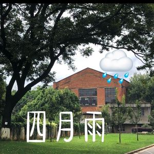 四月雨