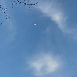 下雨了是我在想你（翻自创四三公）（翻自 林墨）