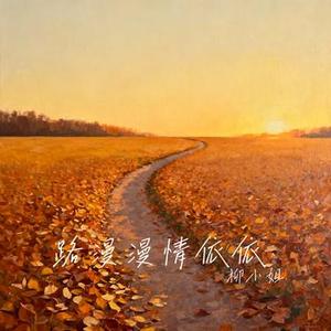 路漫漫情依依 (Cover 听赴生)