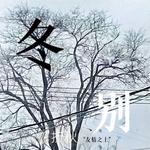 周家的那一个姑娘