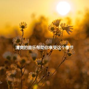 Background for Rainy Study Days