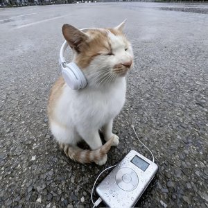 春日生机与希望