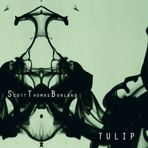 Tulip
