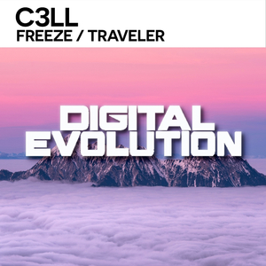 Traveler (Original Mix)