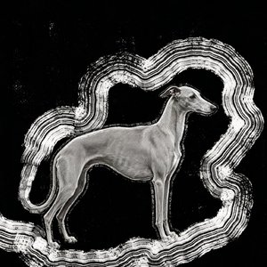 "破茧成光"升级版