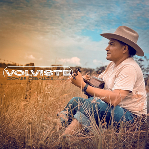 Volviste