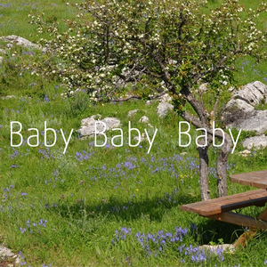 Baby Baby Baby