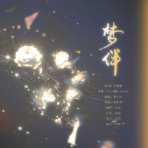 梦伴（随心版）