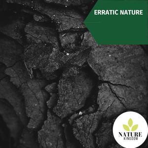 Beautiful Small Stream