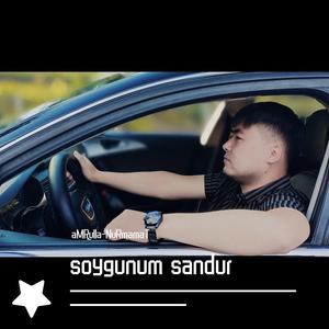 soygunum sandur