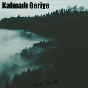 Kalmadı Geriye