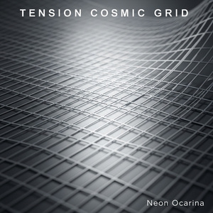 Tension Cosmic Grid
